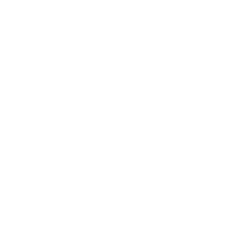 Experiência Comprovada